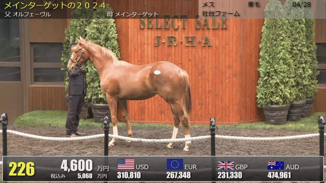オルフェーヴル産駒 セレクトセール2025 まとめ｜らいあー