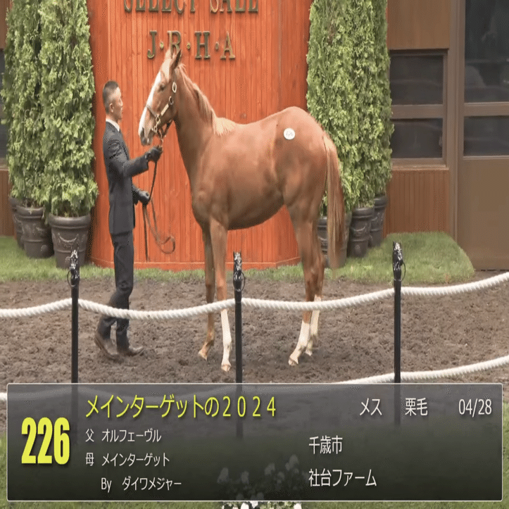 オルフェーヴル産駒 セレクトセール2025 まとめ｜らいあー