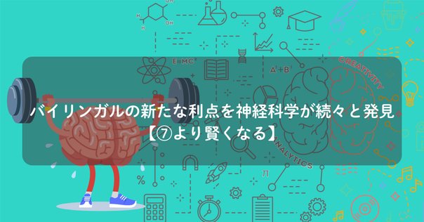 えしん会　お話の記憶長文読解　プレ1.2.3.4.5セット　3.4.5新品未使用 エチュード ホ長調 作品10-3 『別れの曲』 - YouTube