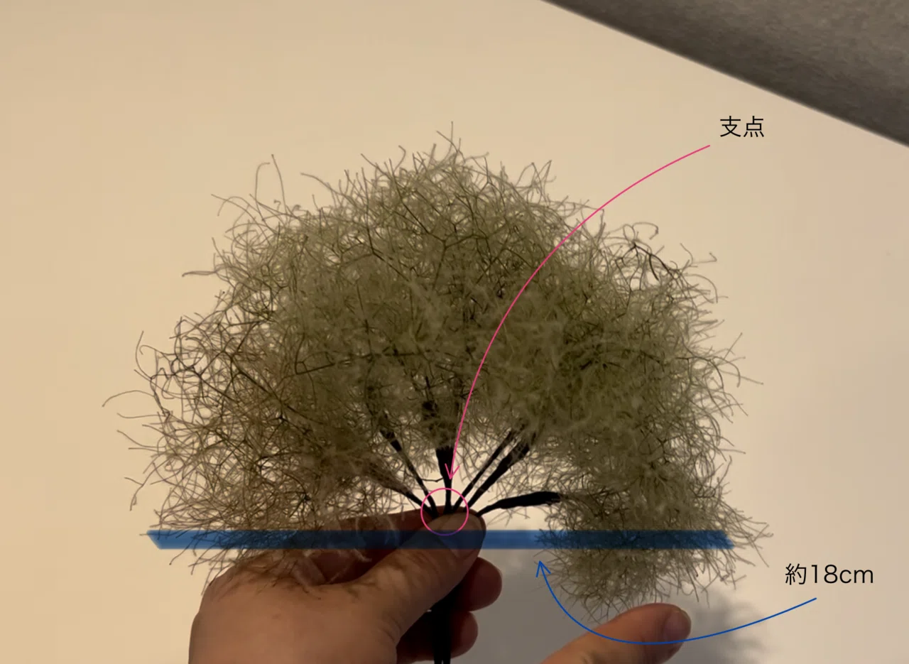 スモークツリーボールスワッグ｜ハナジタク花学校