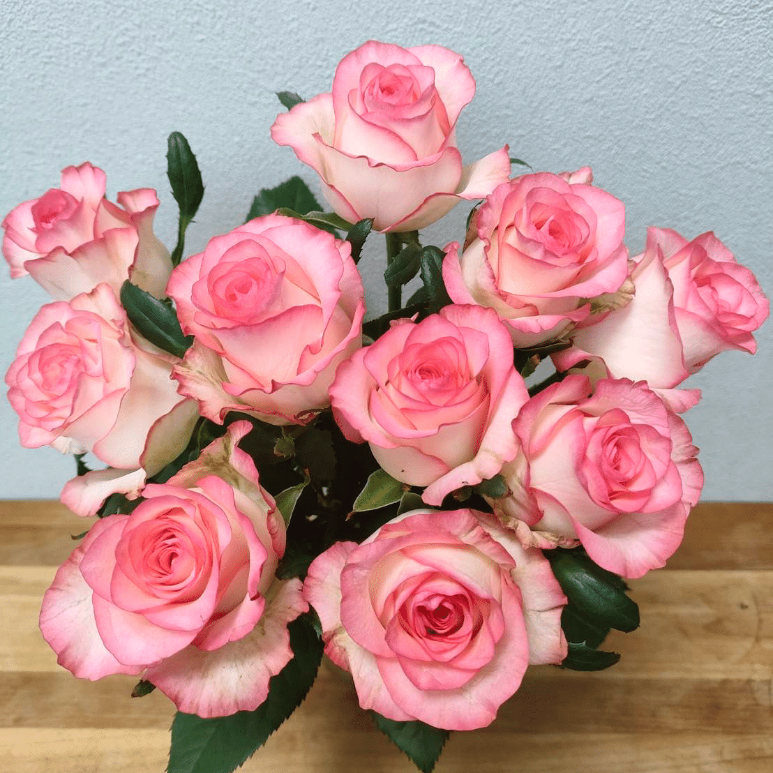 バラ ジュミリア｜seren1023