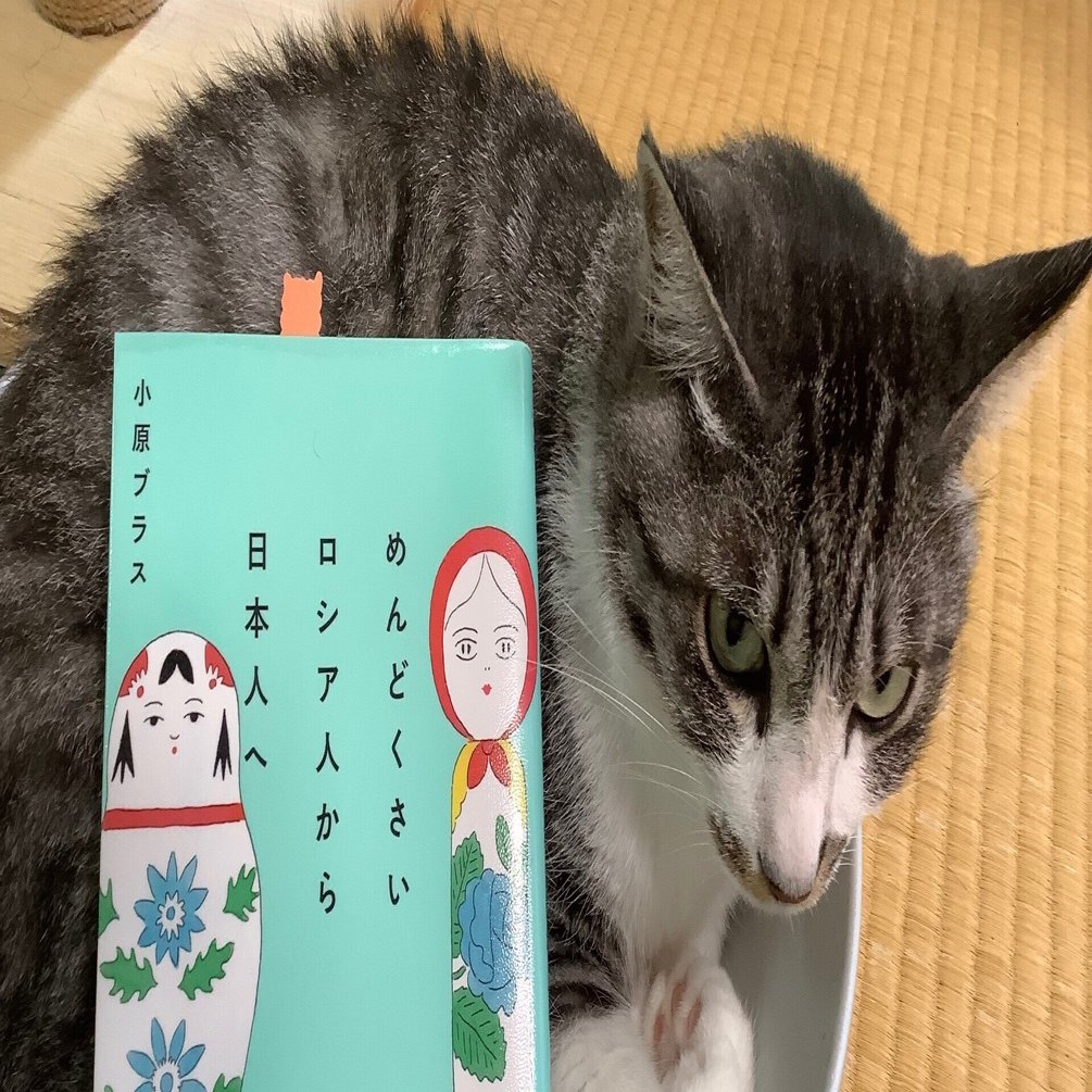 読書感想『めんどくさいロシア人から日本人へ』小原ブラス｜ふう