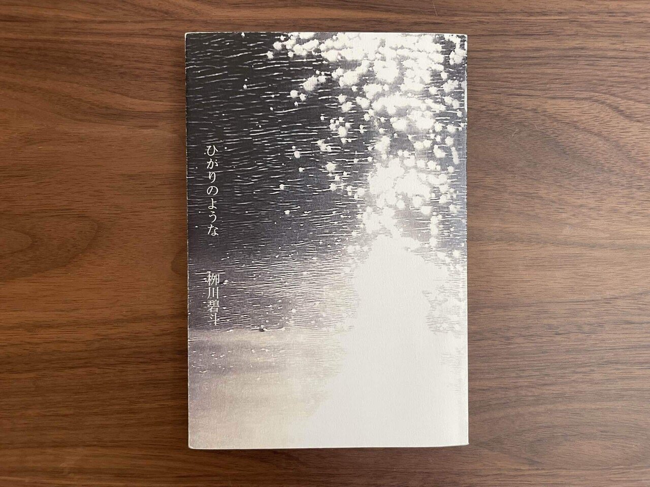 随時更新】面白かった詩の感想まとめ｜縷々／故永しほる