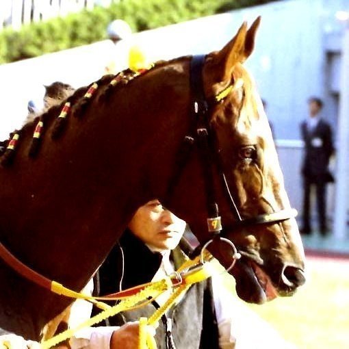お洒落なタテガミ Catalog - 競馬｜馬画人 (まがじん)｜note
