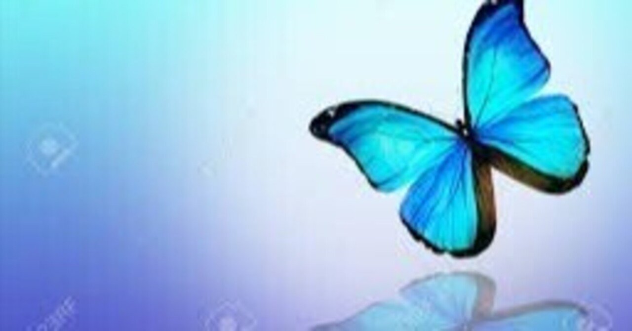 青い蝶は幸せのシンボルーモルフォ蝶の永遠の輝く青さに｜磯貝波路