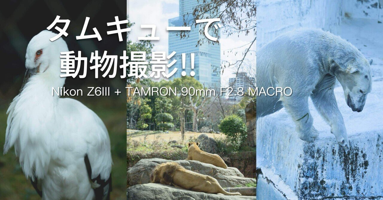 Z6III】TAMRON 90mm F2.8 MACROを付けて、動物園に行ってきまし