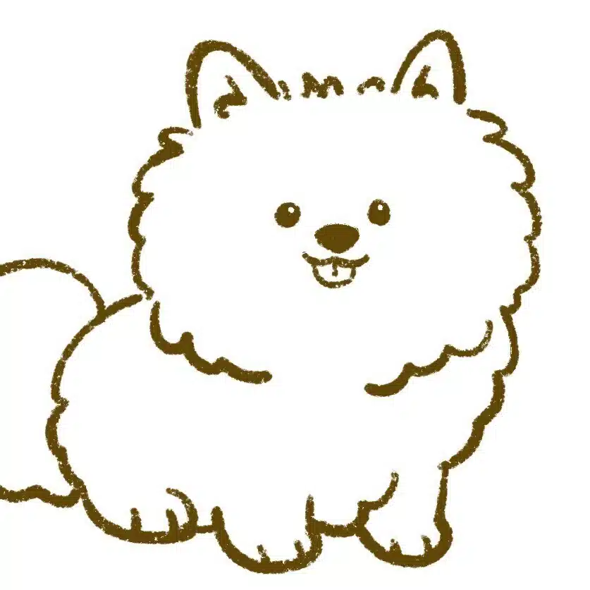 ぽめさん