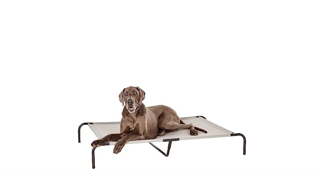 Amazonベーシック ペットベッド 犬 猫 脚つきコット型 メッシュ