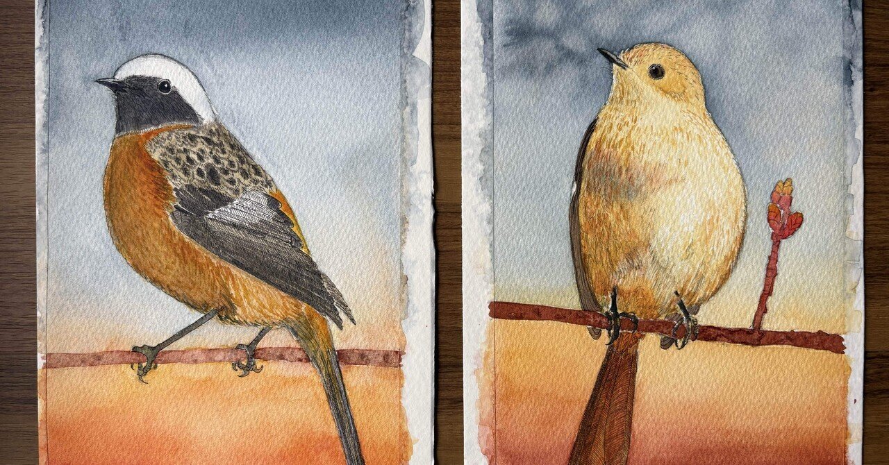 momorin水彩画 ルリビタキと喫茶　値段は※900円です 作品集 - 創作記録｜夜と街｜note