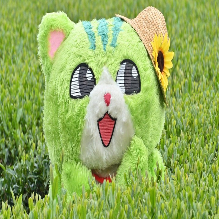 のら茶（狭山茶）できたにゃ！｜のらねこくん(飼い主)