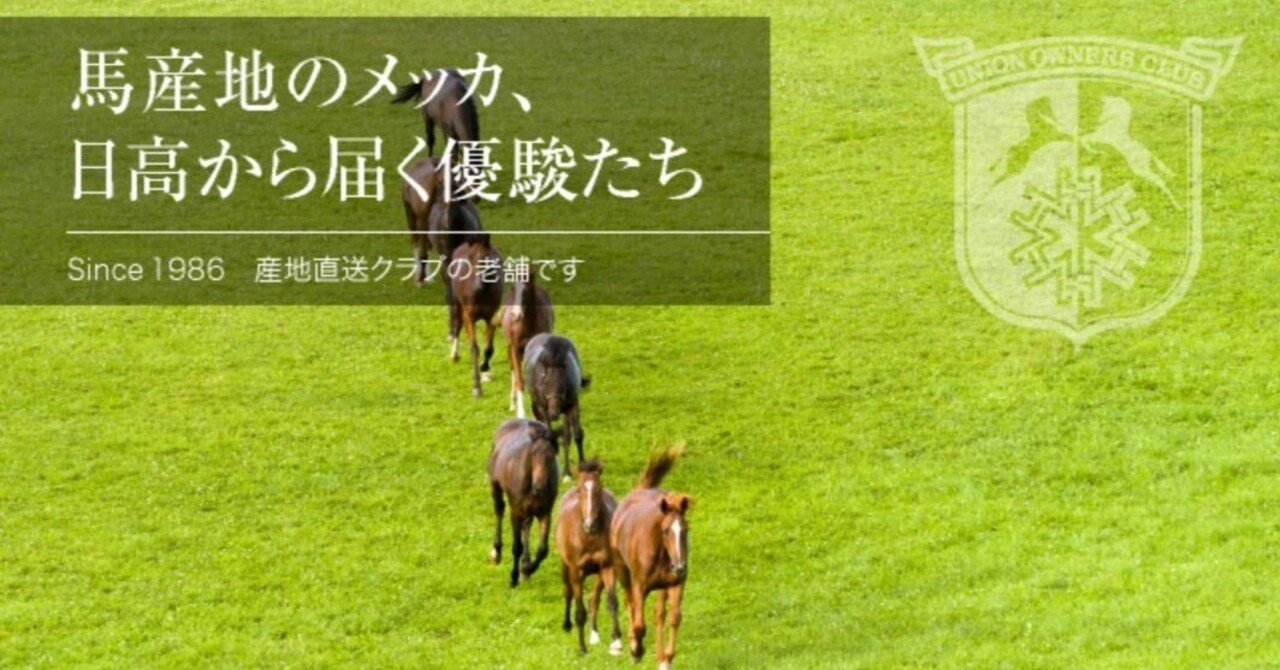 2005年 社台オーナーズ 馬主限定品 社台オーナーズクラブ 募集価格TOP3】「社台TC／2025年募集」募集馬項目別まとめ