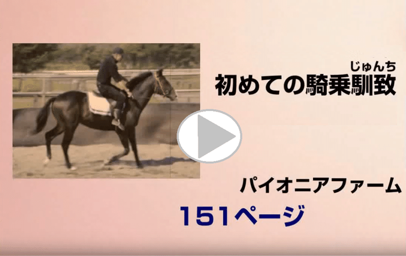 動画 初めての騎乗馴致 じゅんち Jrdb 競馬アラカルト Note 動画 初めての騎乗馴致 じゅんち Jrdb 競馬アラカルト Note