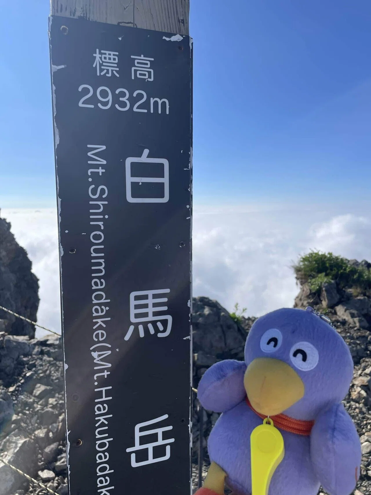 北アルプス・白馬岳へ￤前編】前泊から登頂まで｜TORI