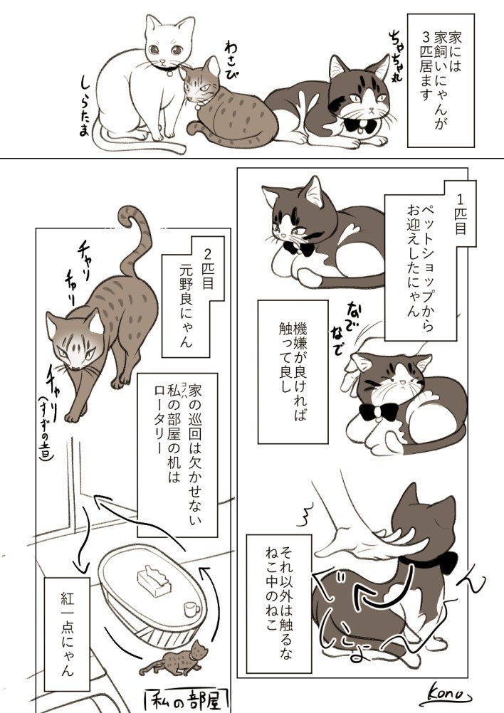 Twitterで犬猫漫画描いてる宣伝 コノハ Note Twitterで犬猫漫画描いてる宣伝 コノハ Note