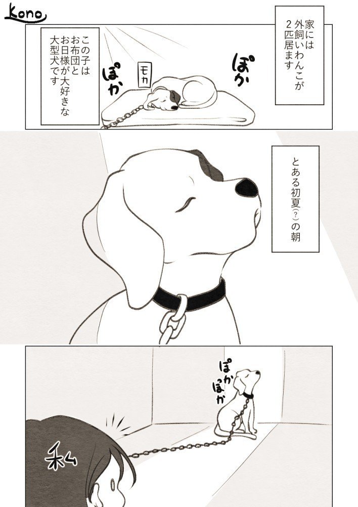 Twitterで犬猫漫画描いてる宣伝 コノハ Note Twitterで犬猫漫画描いてる宣伝 コノハ Note