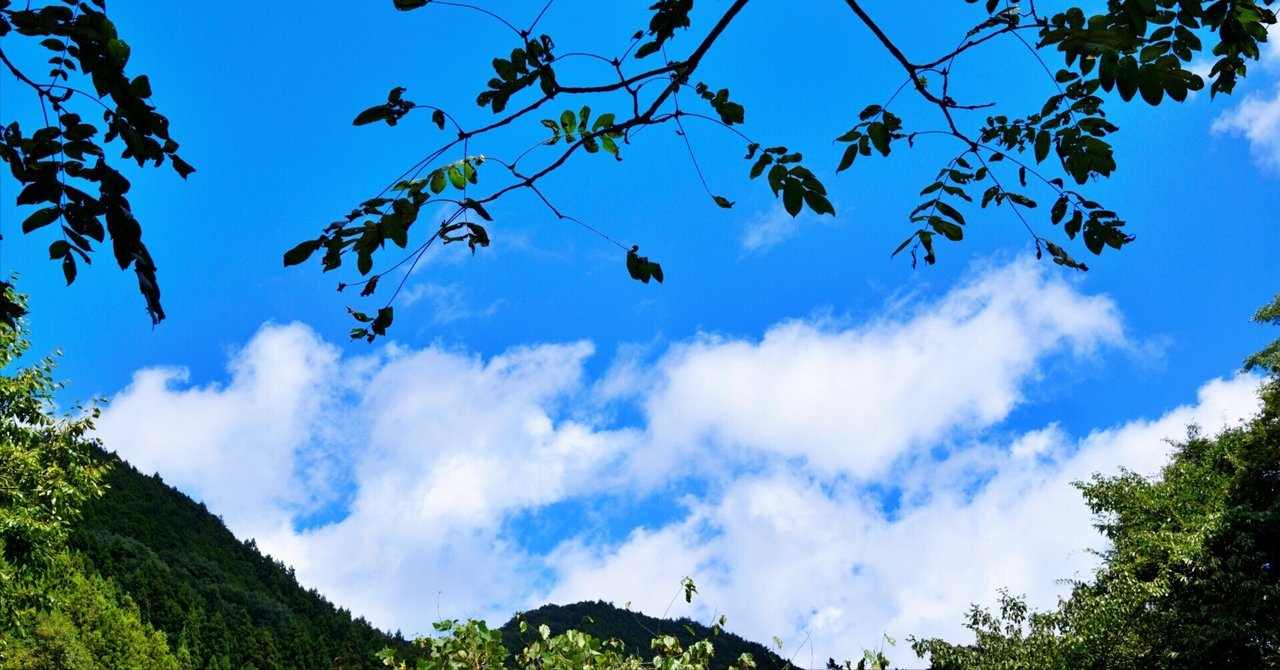 SONY NEX‐6 × Super-Takumar 55mm F1.8 2年間使用レビュー』オールド