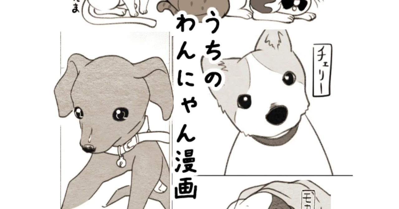 Twitterで犬猫漫画描いてる宣伝 コノハ Note Twitterで犬猫漫画描いてる宣伝 コノハ Note