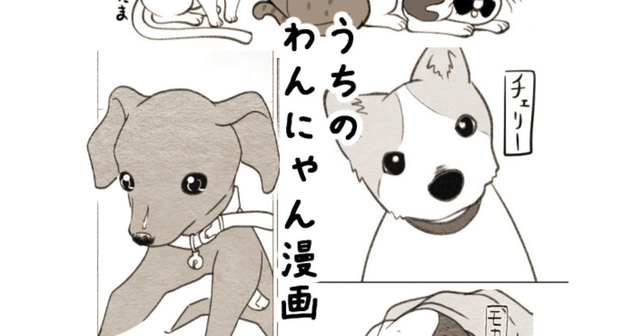 Twitterで犬猫漫画描いてる宣伝 コノハ Note