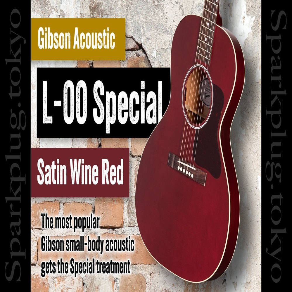 ギブソン・スモールボディ・アコギの大定番「L-00」に渋い艶消し仕様の