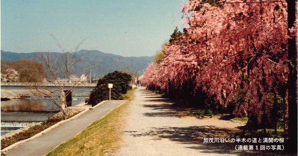 住友化学株式会社史　開業百周年記念 入園入学祝い 在庫有】 開業百周年記念 株式会社史 住友化学