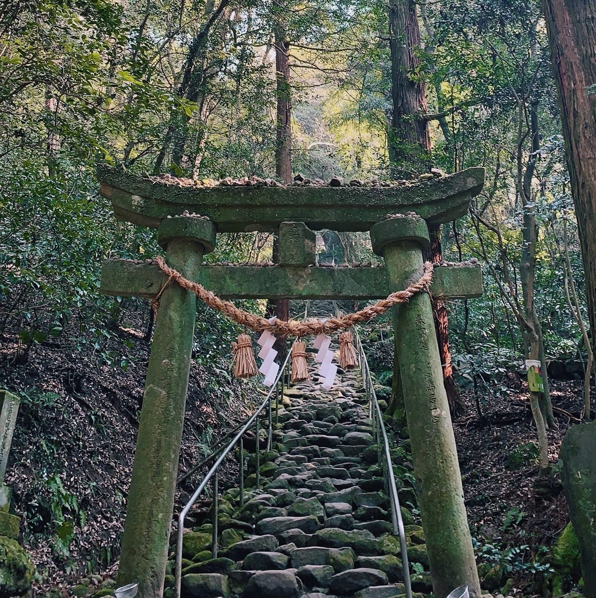 画像2