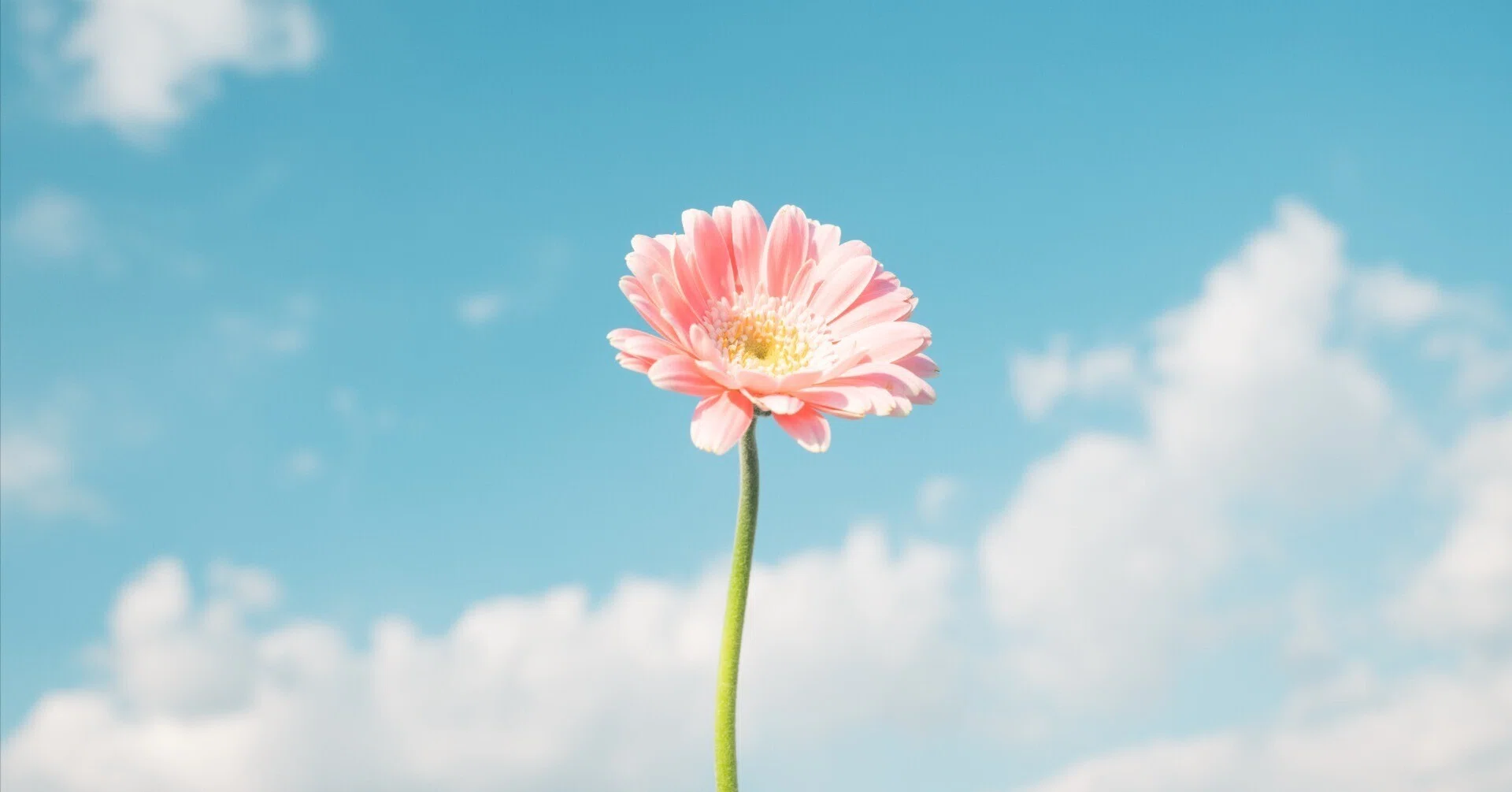 Interview] Delivering Little Moments of Excitement: The World of
