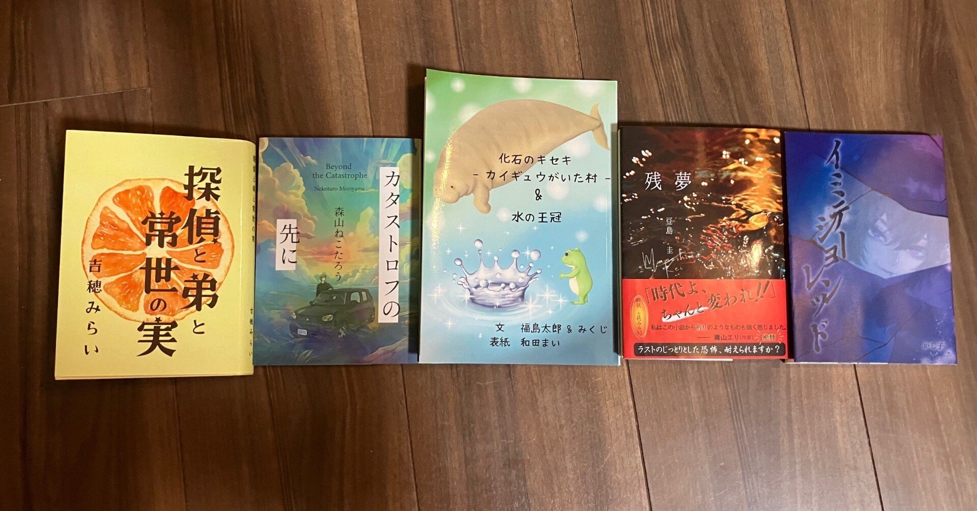 文学フリマで買った本④ 長編小説｜海人（蒔田涼）