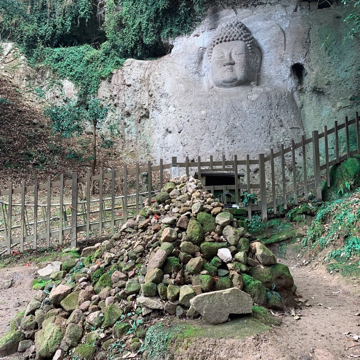画像4