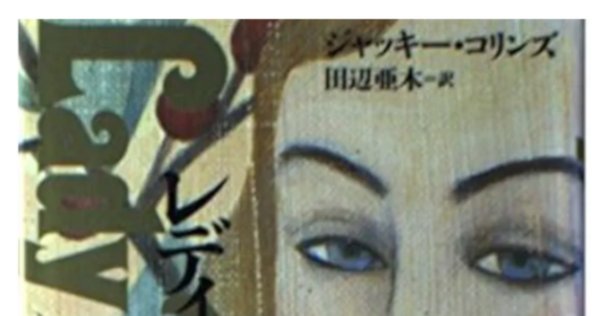 リディア・チン&ビル・スミス 初版・帯15冊 S・J・ローザン 創元推理文庫 シリーズ：リディア・チン＆ビル・スミス・シリーズ｜東京創元社
