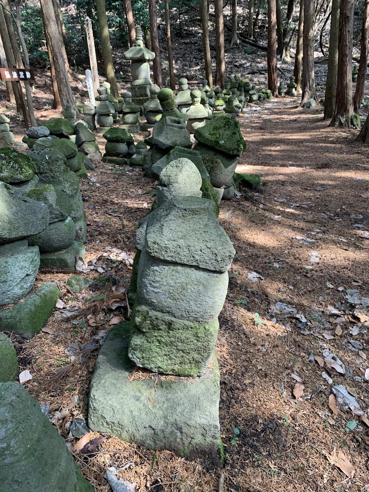 画像7