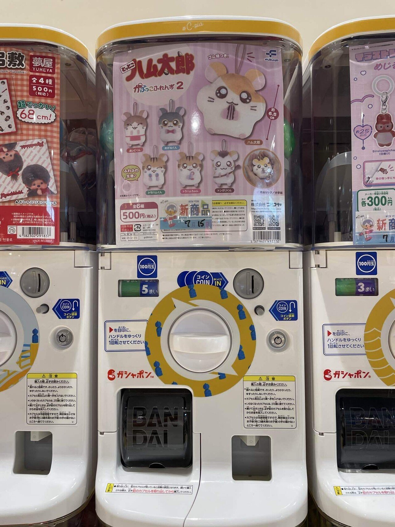 またハムちゃんずをお迎えする｜はれな