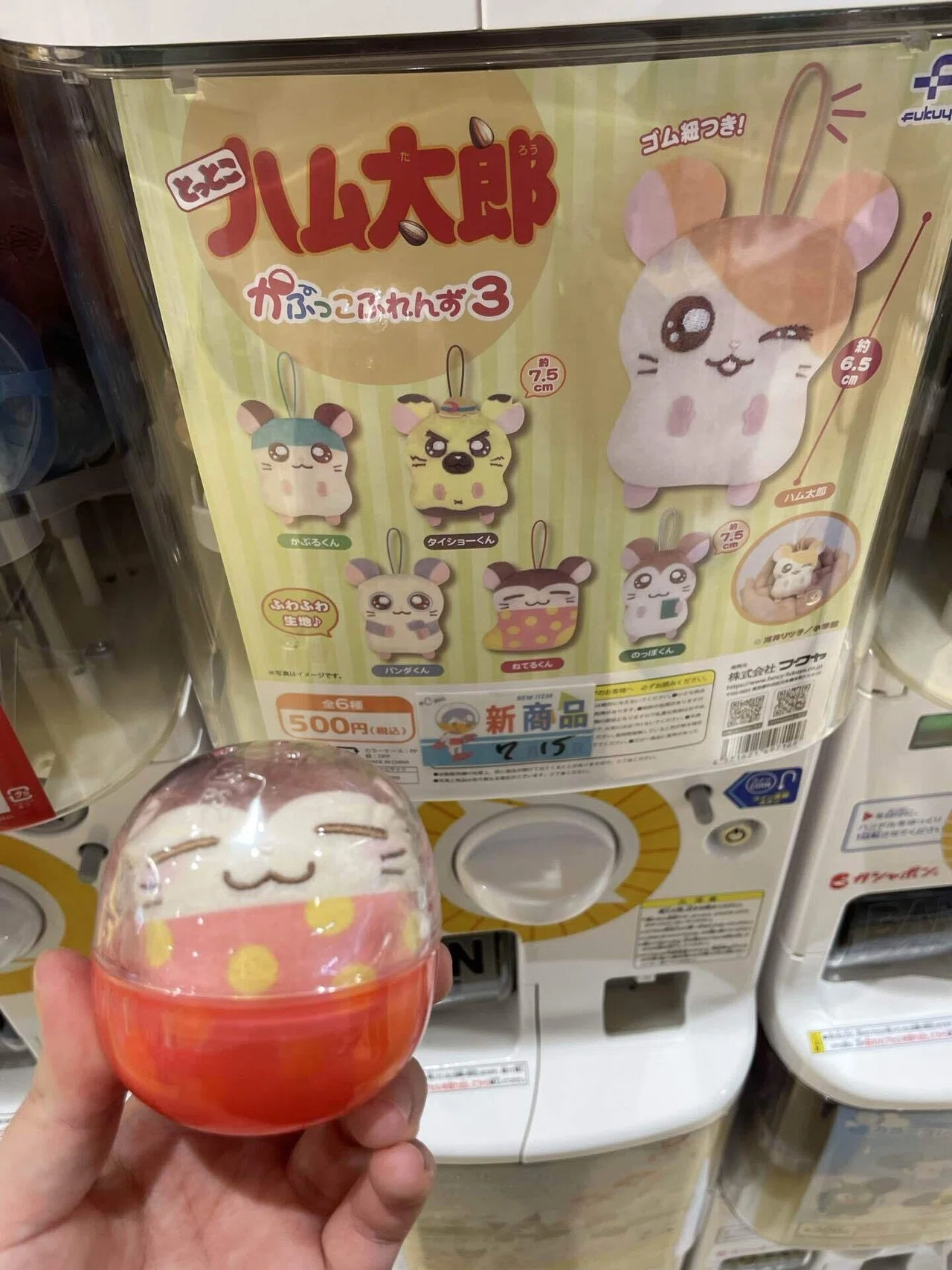 またハムちゃんずをお迎えする｜はれな
