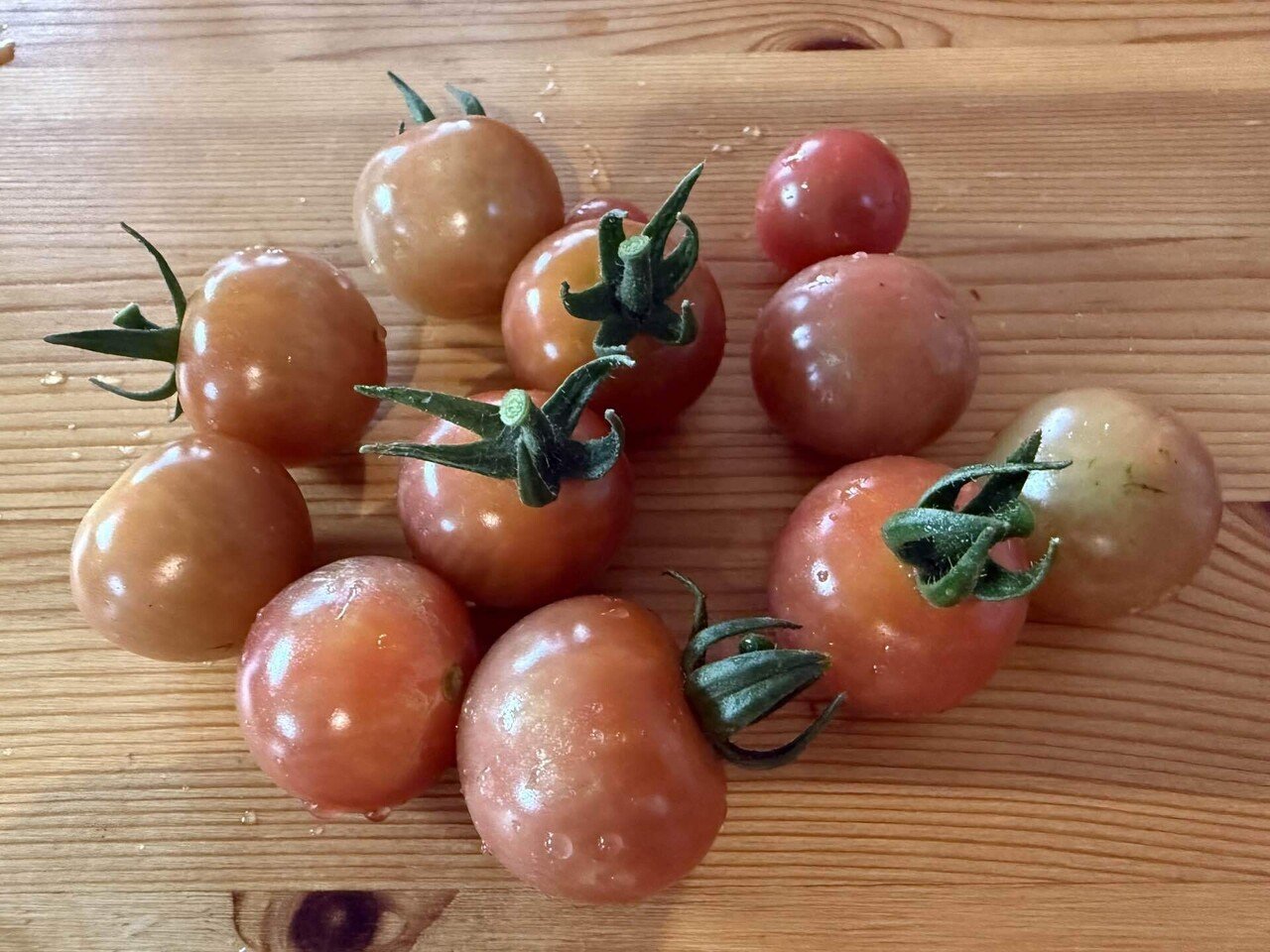 ぷちトマト様 ありがとうございました❤︎⑥