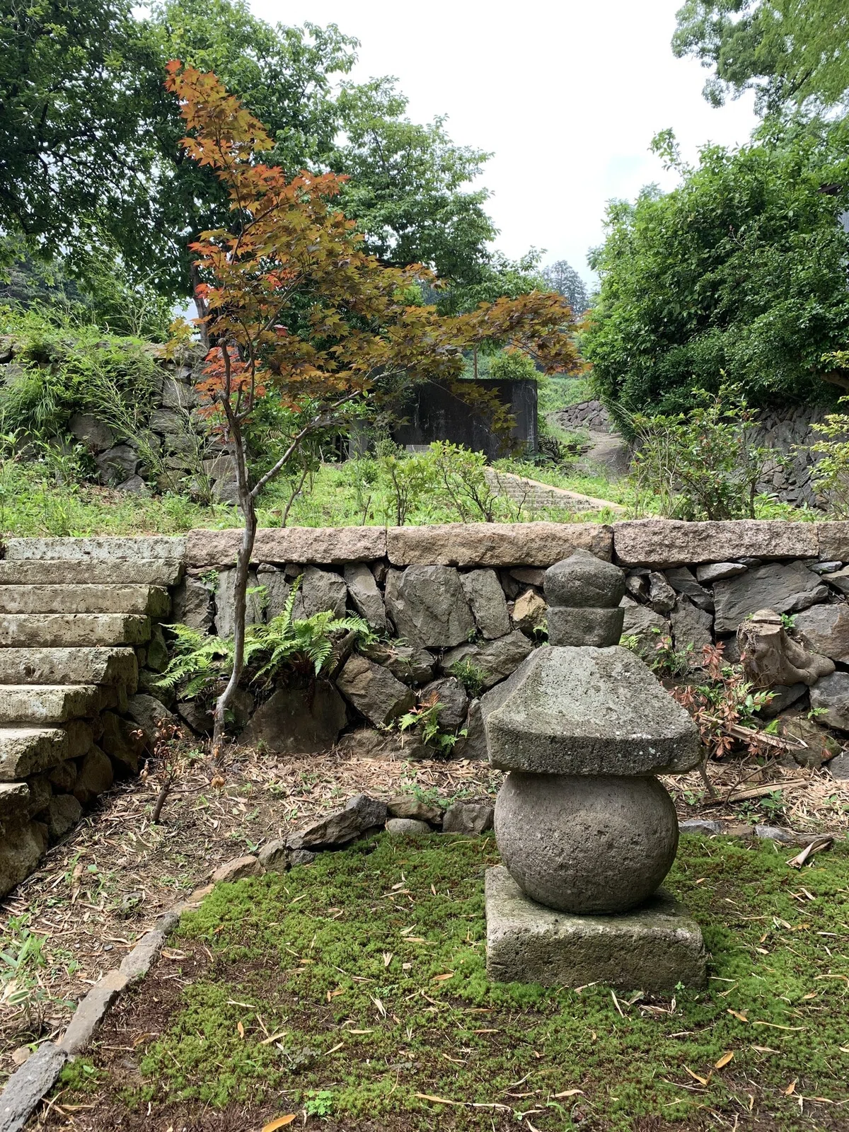 画像9