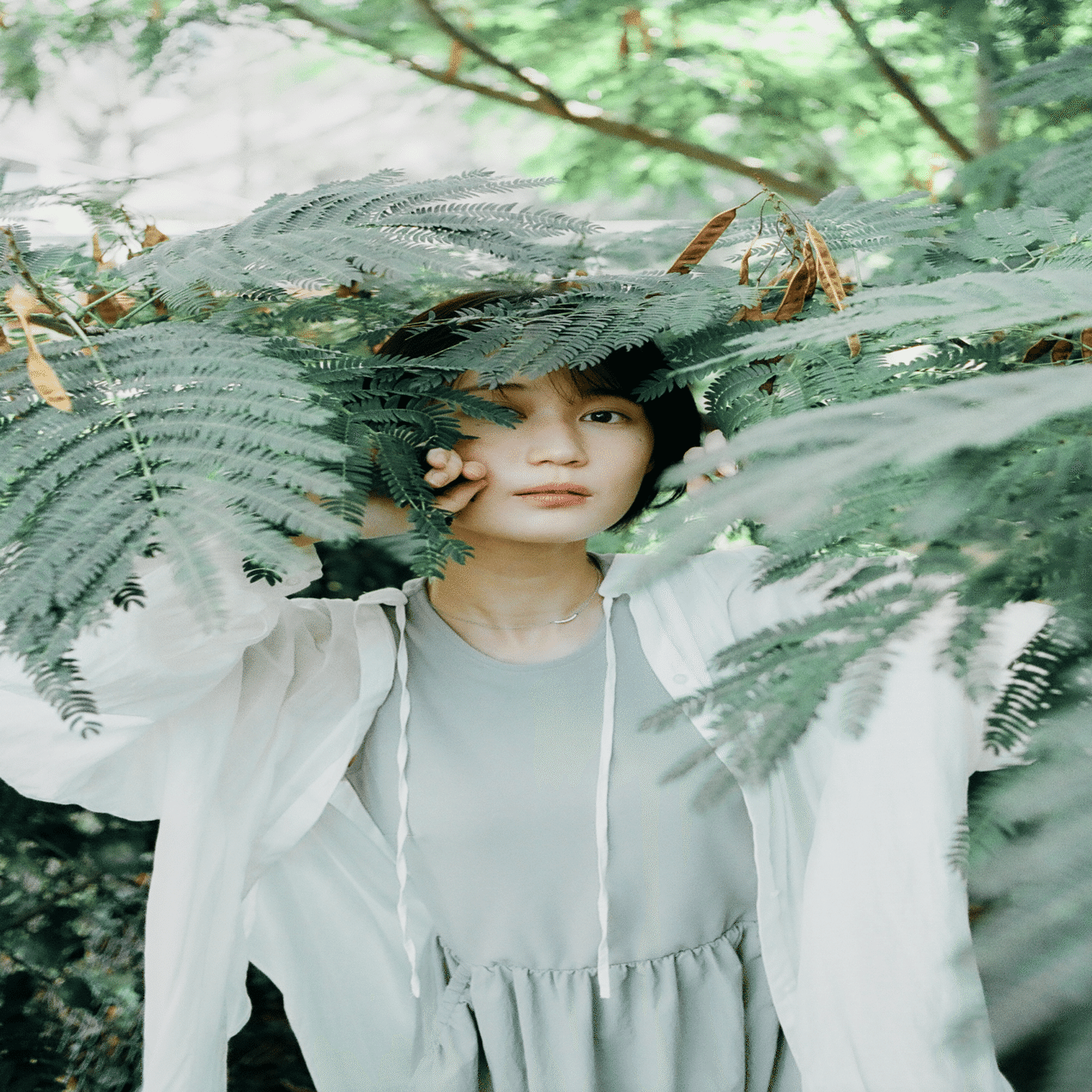 忖度なく最強のフィルムカメラを紹介する。｜ニシハラ シンヤ通信