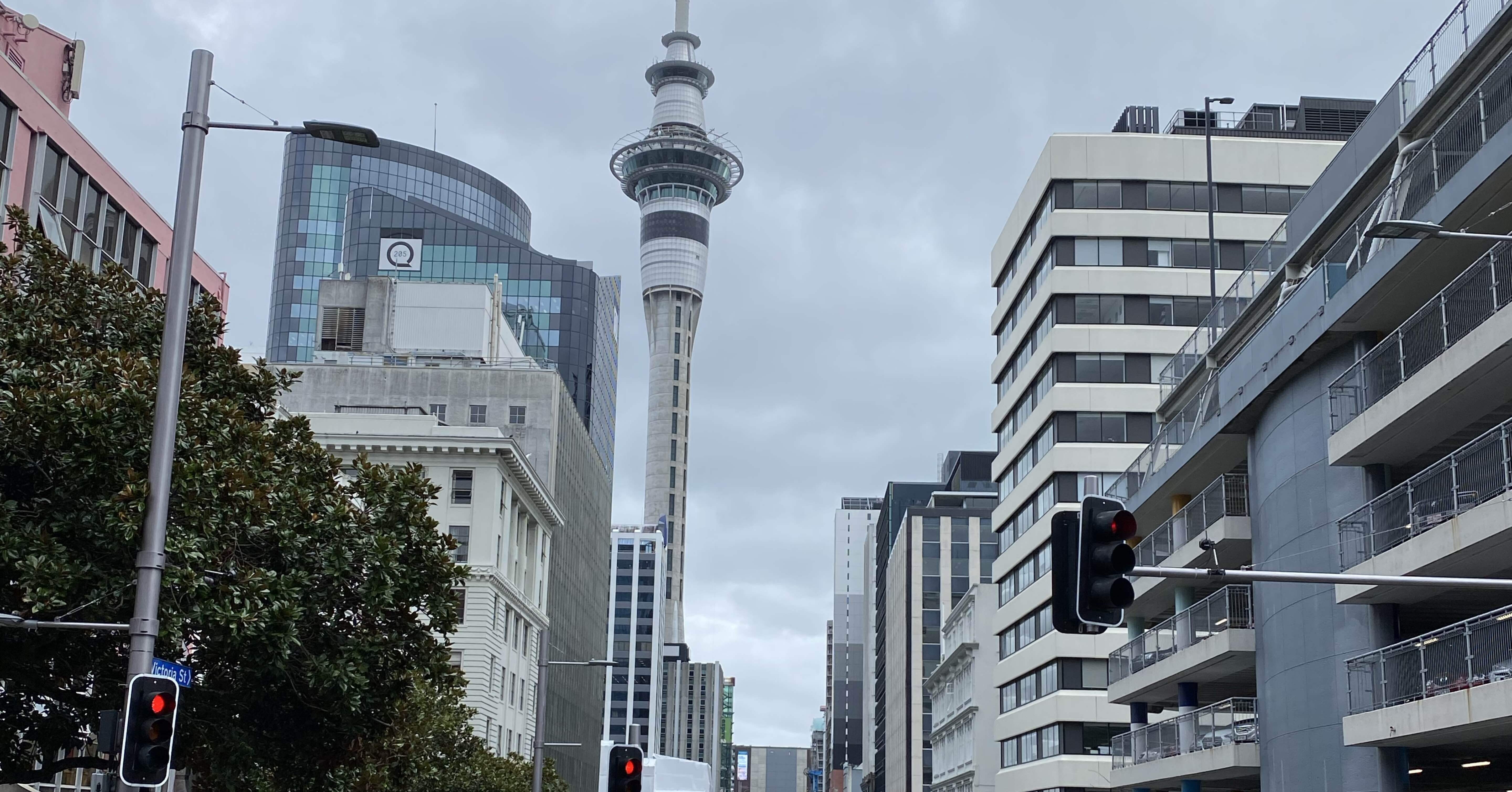 ニュージーランド🇳🇿ワーホリ4週目で返金詐欺に遭いかけた｜kiyoka