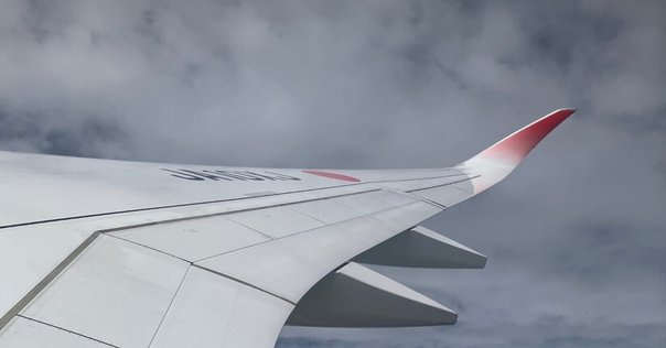 Dr.Izzy report]”隣”の君を追う、飛行機雲｜tomori