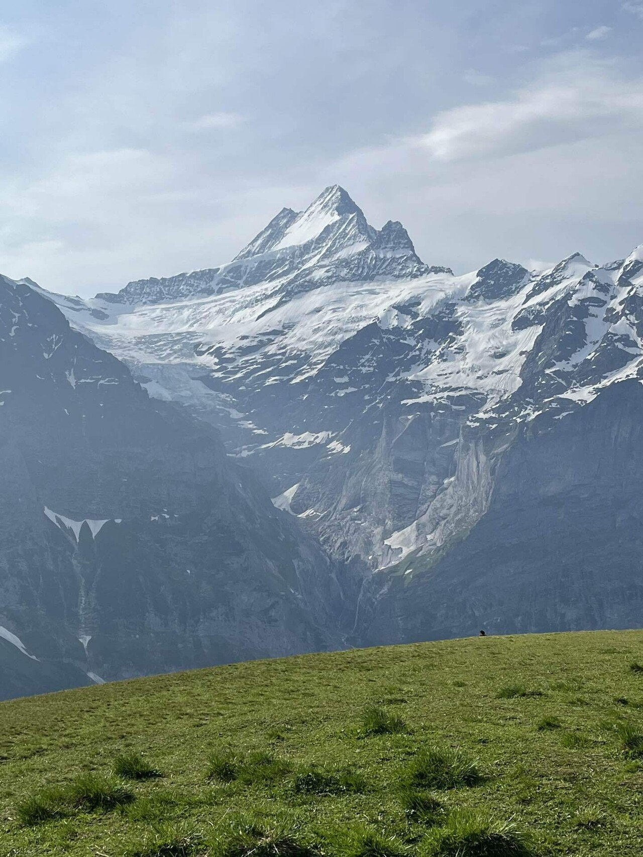 スイスの旅#06】Day3①•恐怖の遊歩道フィルスト・クリフウォーク