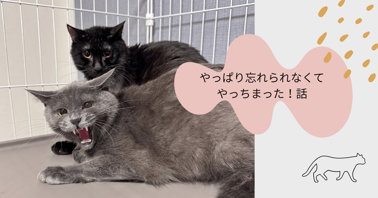 やっぱり忘れられなくてやっちまった話｜ako yamazaki