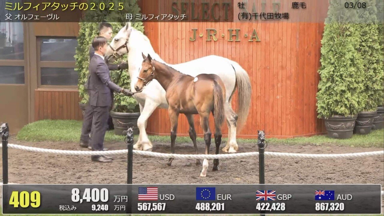 オルフェーヴルさま確認ページ♡ オルフェーヴル産駒 セレクトセール2025 まとめ｜らいあー