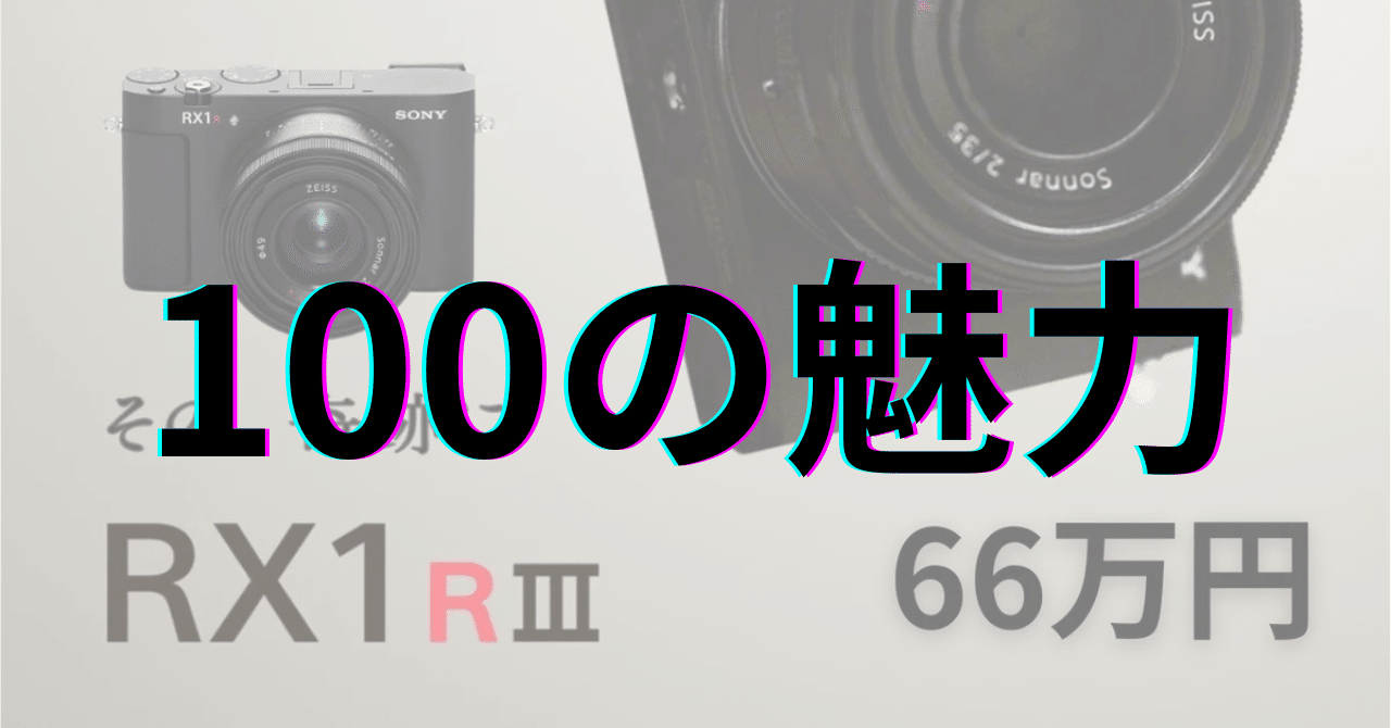 SONY RX1R III DSC-RX1RM3 TG-2予備バッテリー ソニー RX1R III：100の