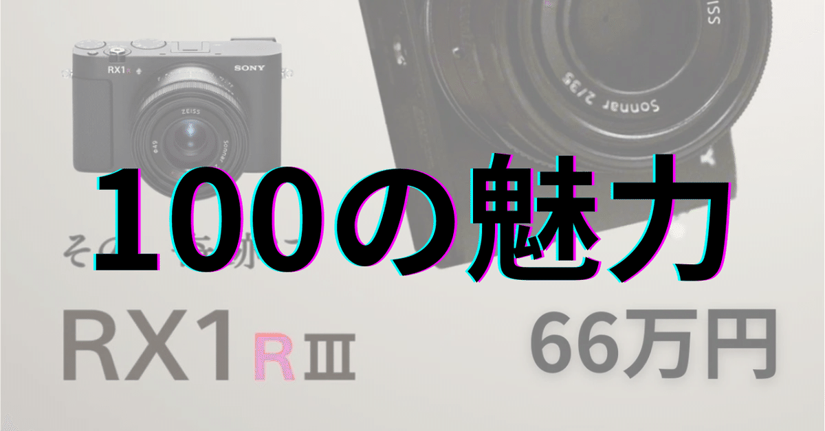 SONY RX1R III DSC-RX1RM3 TG-2予備バッテリー RX1R III(DSC-RX1RM3