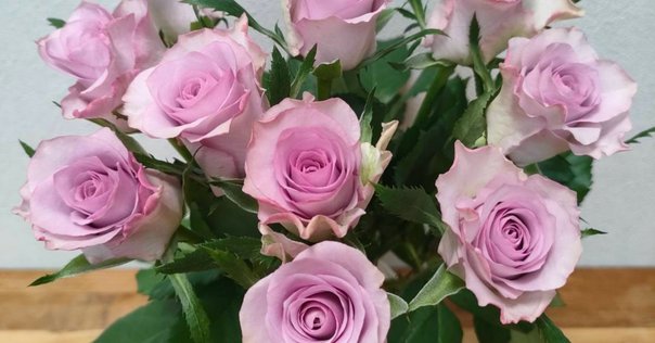 アントニアズフラワーズ―Antonia's Flowers Fragrance Reviews