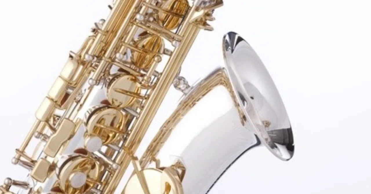 My Tenor Saxophone Appeared｜笹かにかま