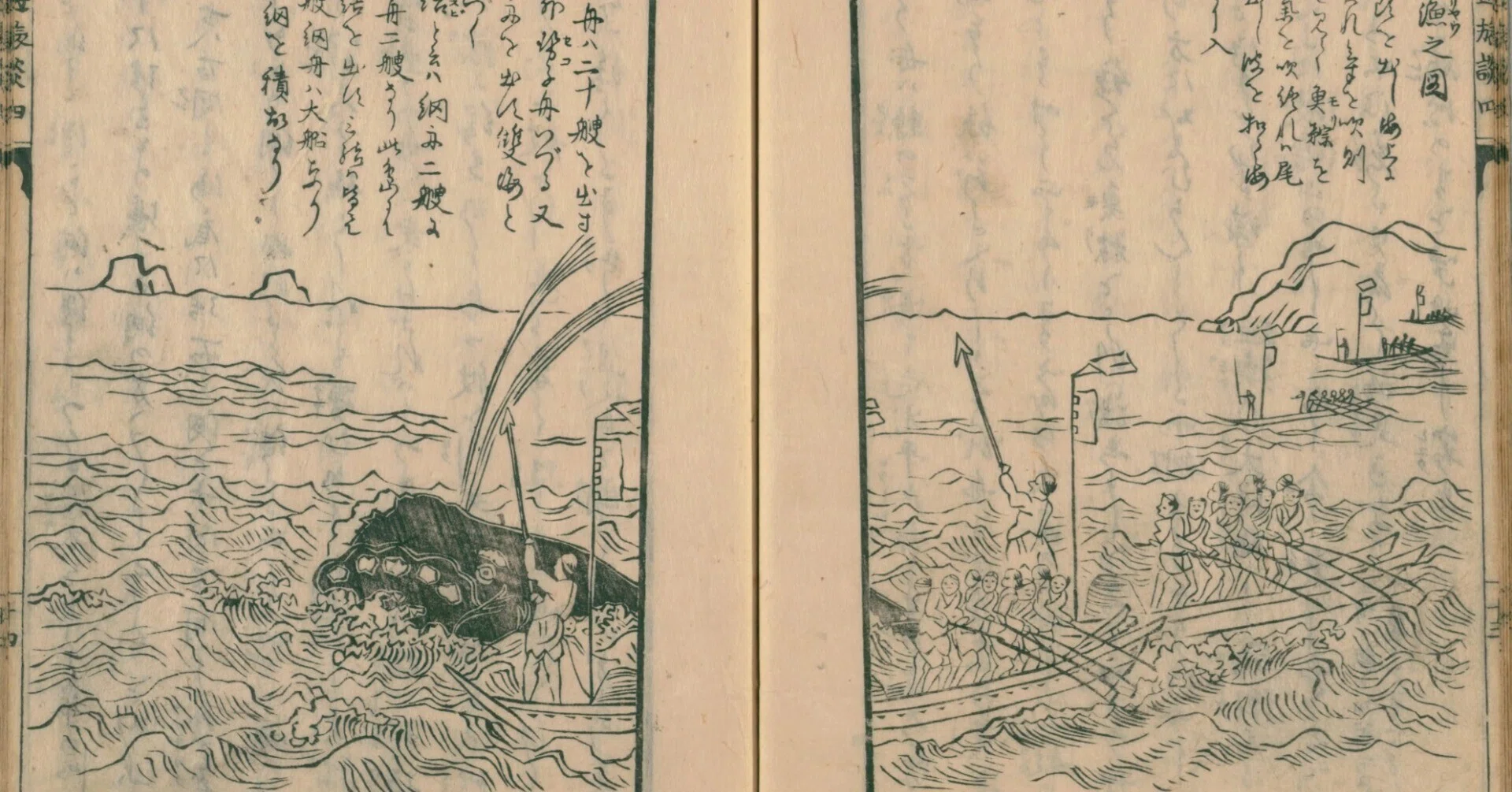 西遊旅譚/司馬江漢】（15）生月島にて鯨漁を見る｜mominaina