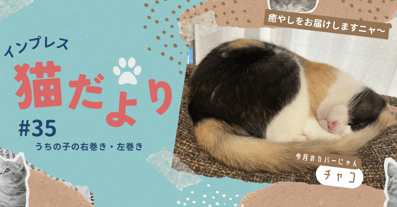 猫だより #35】うちの子の右巻き・左巻き｜インプレス出版事業部