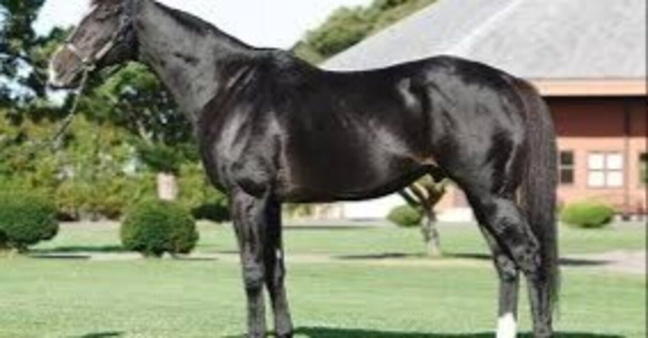 日本競馬の至宝、飛ぶように駆けた伝説の軌跡：ディープ