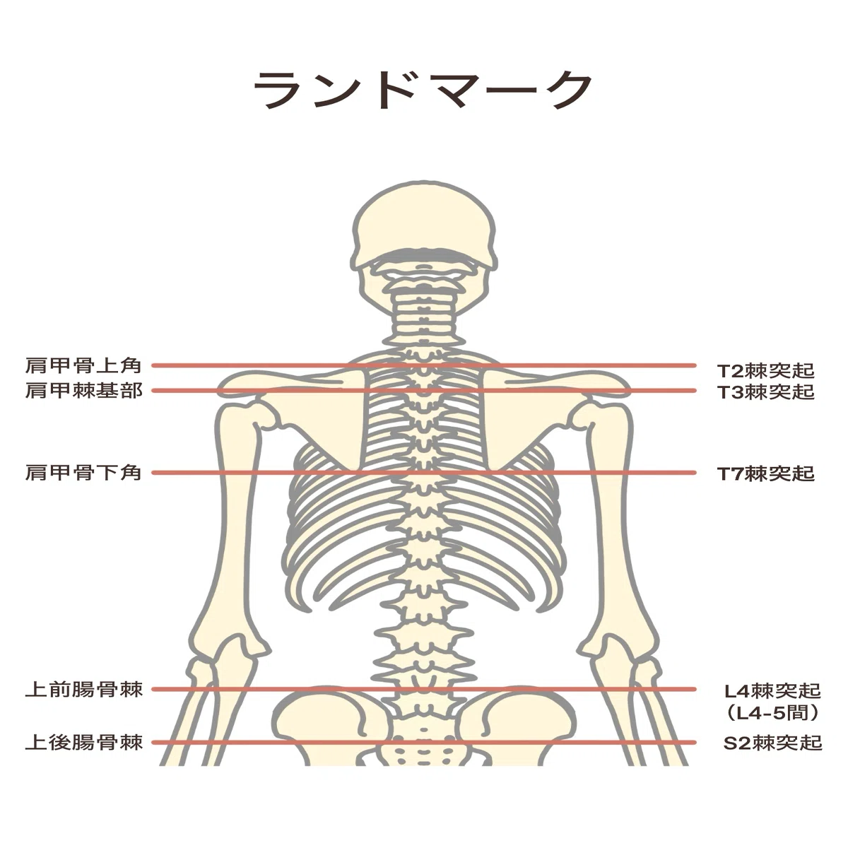 五十肩の悩みをシェアしたい その3｜go_goats_go