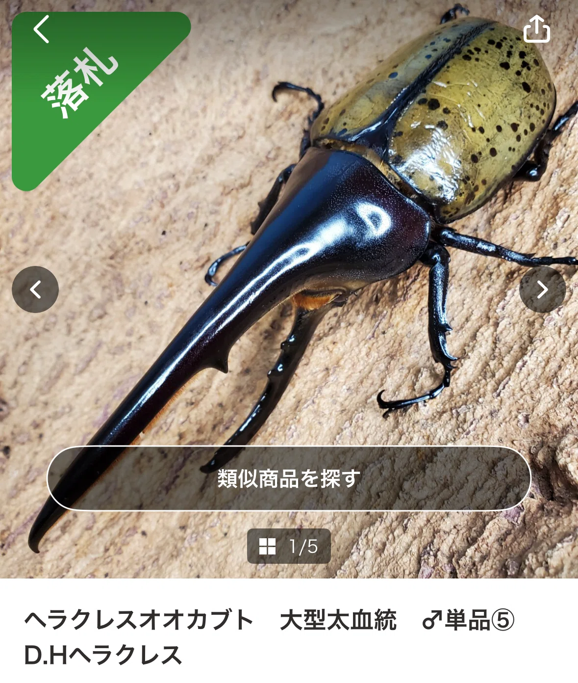 ヘラクレスがきた!!|やま ヘラクレスがきた!!|やま