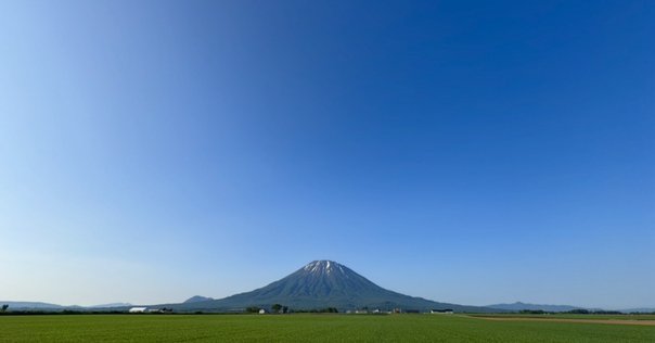 グリーンランド シロクマ　5クローネ　1944年 グリーンランド シロクマ 5クローネ 1944年 グリーンランド